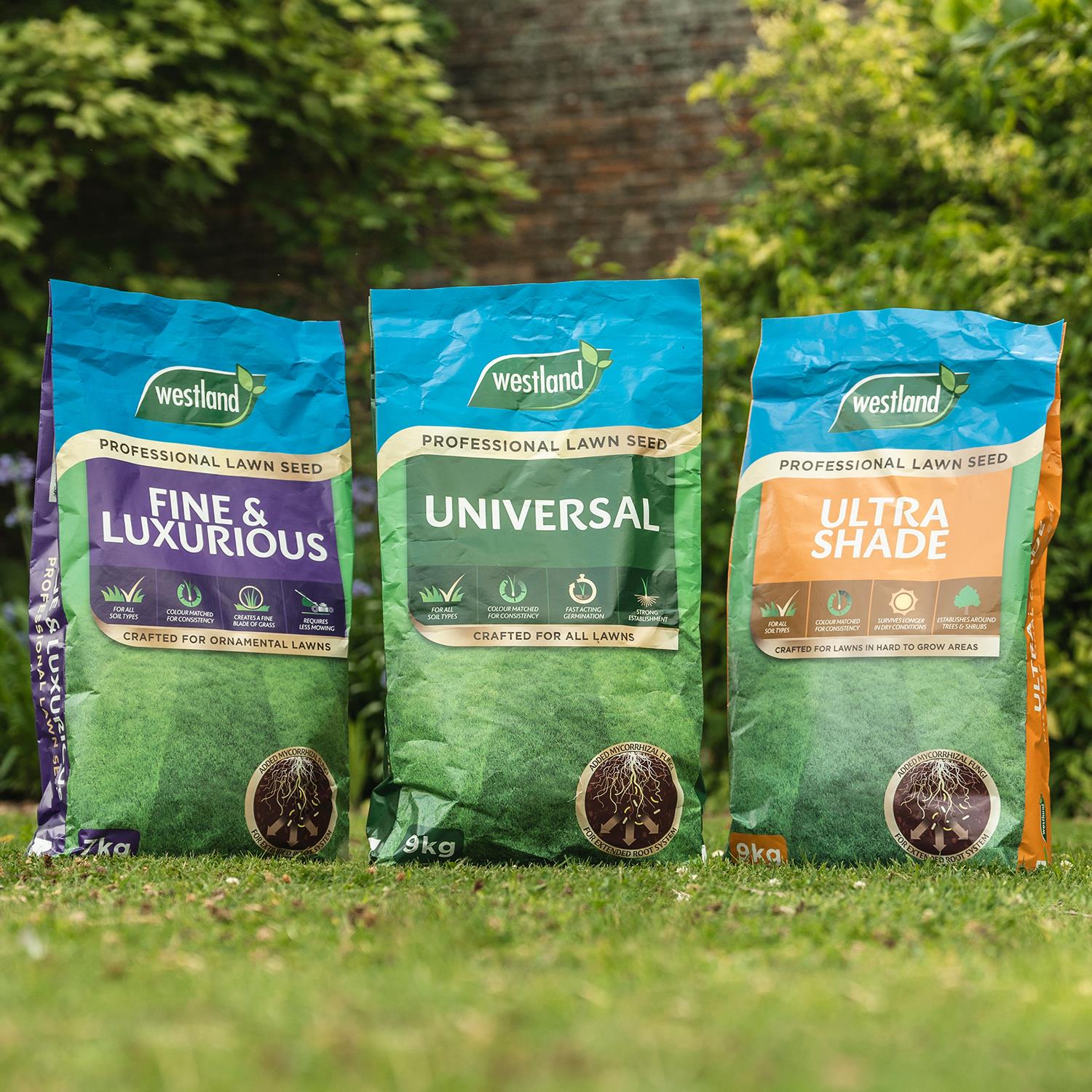 Fine & Luxurious Professional Lawn Seed Bag For All Soil Type 7kg | 7kg