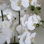 60cm Orchid Artificial White - Marble Effect  Ceramic Planter