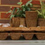 8 Seedling Tray’s Pack Of 5
