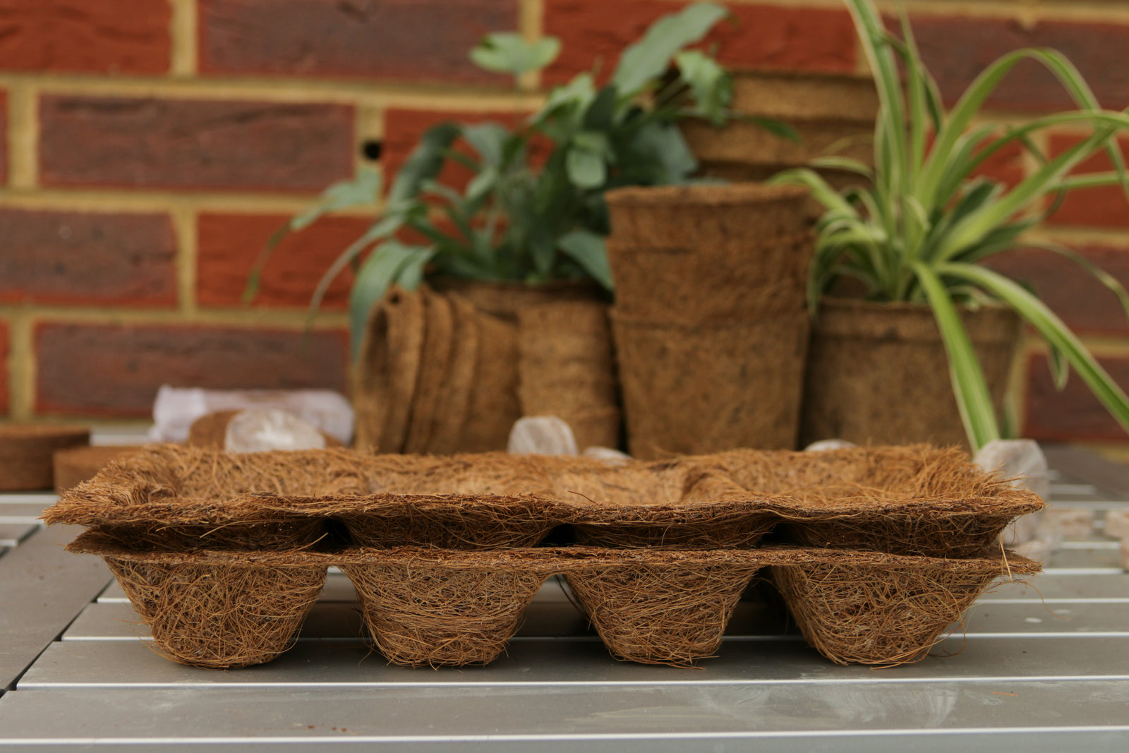 8 Seedling Tray’s Pack Of 5