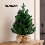 Santaco Christmas Tree 63cm Xmas Spruce 75 Pvc Tip Indoor Cement Base Green