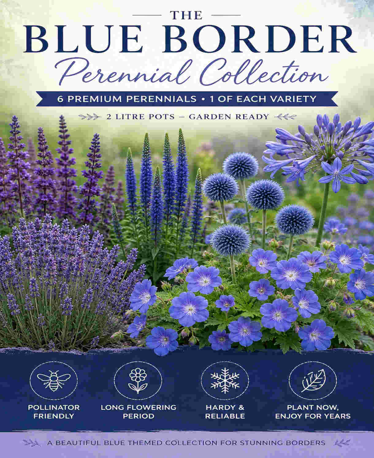 The Blue Border Perennial Collection - 2l Garden Ready Pots. | Set-of-6 | Blue