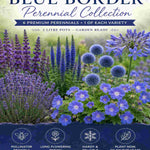 The Blue Border Perennial Collection - 2l Garden Ready Pots. | Set-of-6 | Blue