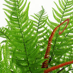 Artificial 60cm Bushy Dixie Wood Fern Dark Green Plant