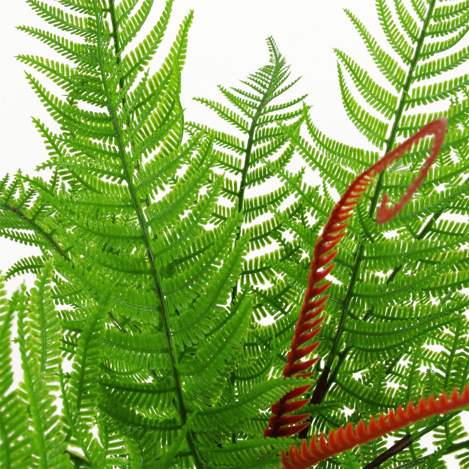 Artificial 60cm Bushy Dixie Wood Fern Dark Green Plant