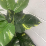Artificial Foliage Plant Pot Devils Ivy 60cm Plants