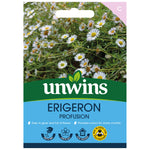 Erigeron 'profusion' | 100 Seeds | Green