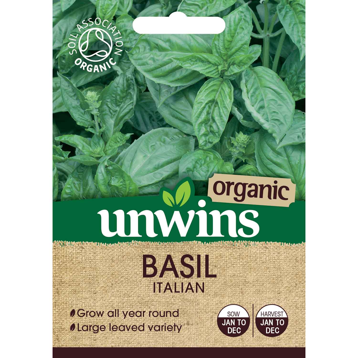 Italian Basil Ocimum Basilicum Seeds | 500 Seeds