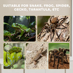 Reptile Terrarium, Vivarium Acrylic For Snake, Gecko | Large | Clear
