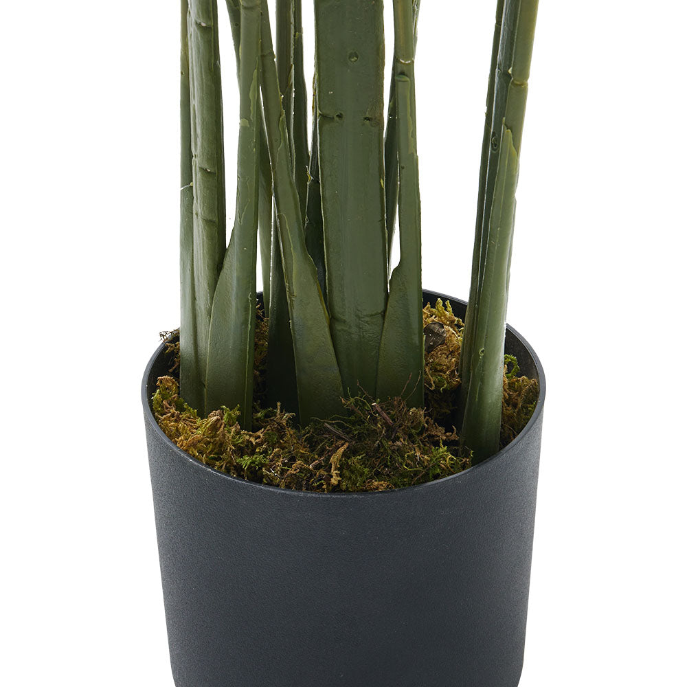 160cm/180cm Artificial Bird Of Paradise Plant Fake Tropical Tree In Pot | Small