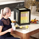 Food Dehydrator, 12 Tray, 850w