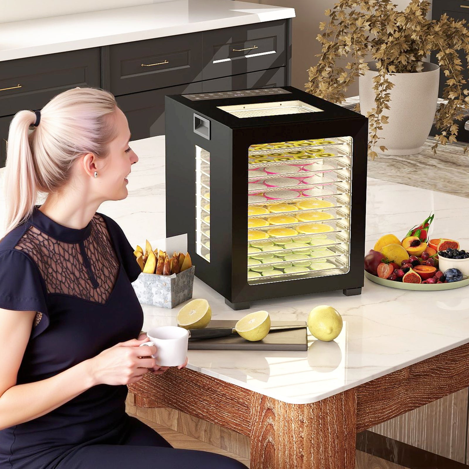 Food Dehydrator, 12 Tray, 850w