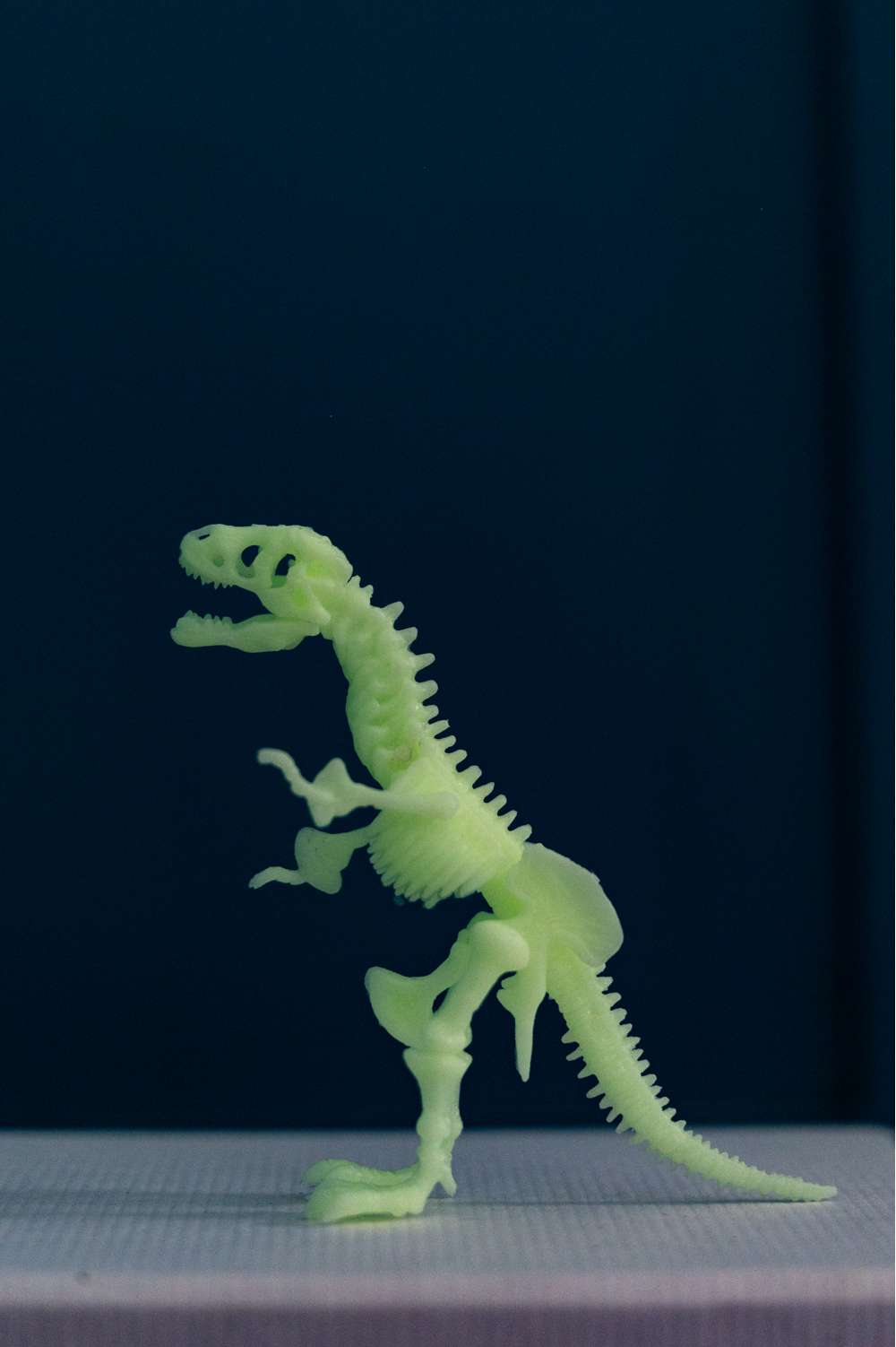 Kidzlabs - Glowing T-rex Skeleton