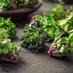 Kalettes Kale X Brussels Sprout Winter-hardy | 8 x Plug Plants | Green