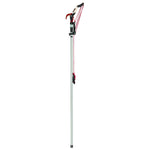Kent & Stowe Telescopic Tree Lopper Bypass Pruner Cutter 4 Gears 3m