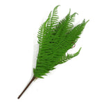 Artificial 60cm Bushy Dixie Wood Fern Dark Green Plant