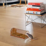 4 Pack Plastic Humane Mouse Trap Cages | One Size | Brown