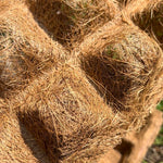 8 Seedling Tray’s Pack Of 5