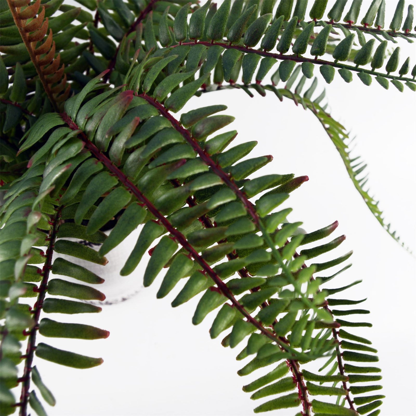 40cm Artificial Fern Bush In Decorative Planter