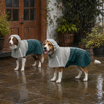 Dog Raincoat With Hood, Dog Rain Jacket | M | Green