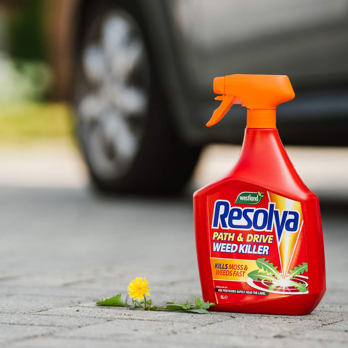 Moss Killer & Path And Drive Weed Killer | Set of 2