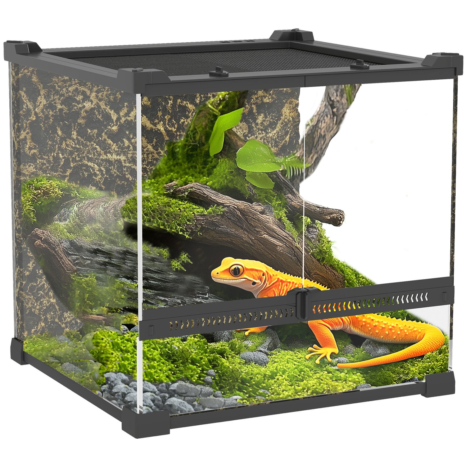 Glass Terrarium, Reptile Vivarium With Stone Background | 24l | Black