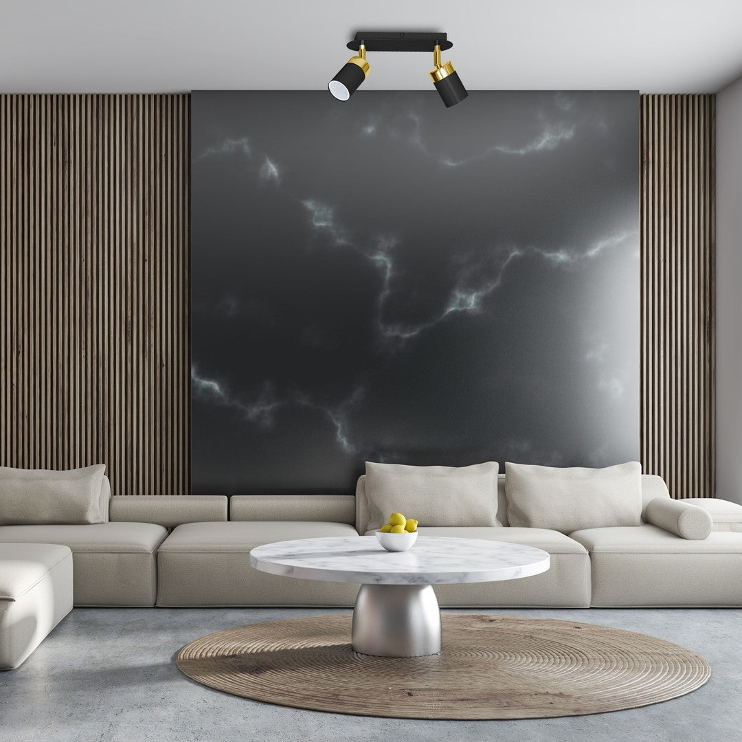 Joker Hand Made Ceiling Lamp In Matt Black With Luxurious Gold Detail Featuring 2 Minmalistic Slender Cylinder Shades