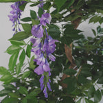 Artificial 110cm Purple Wisteria Tree With Silver Planter