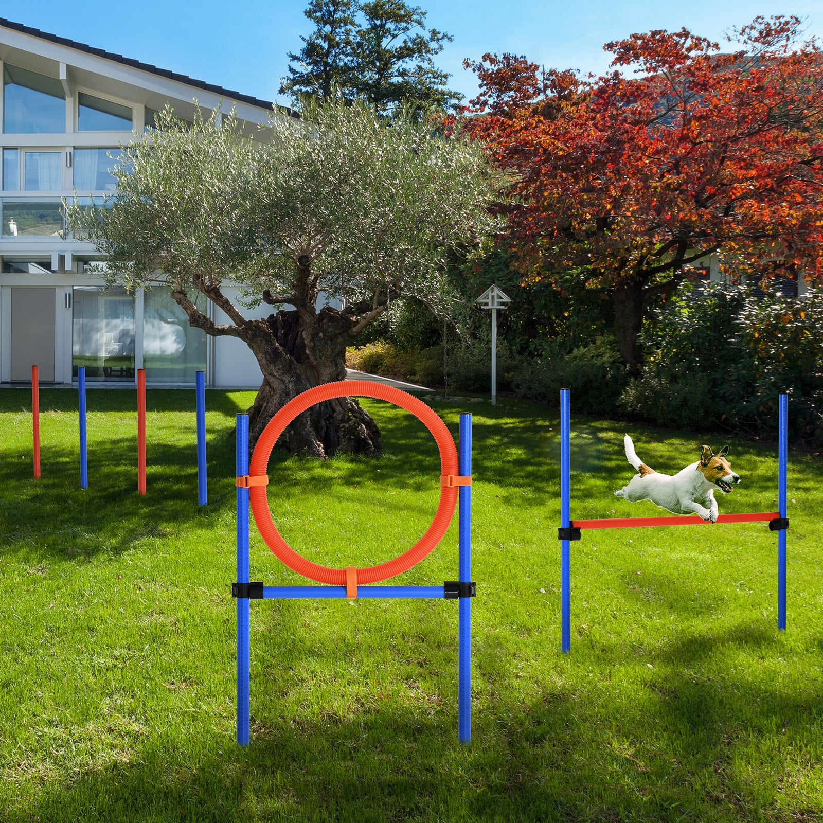 Pet Agility Set Training Dogs Outward Outdoor Play Hurdle Jump Hoop Pole