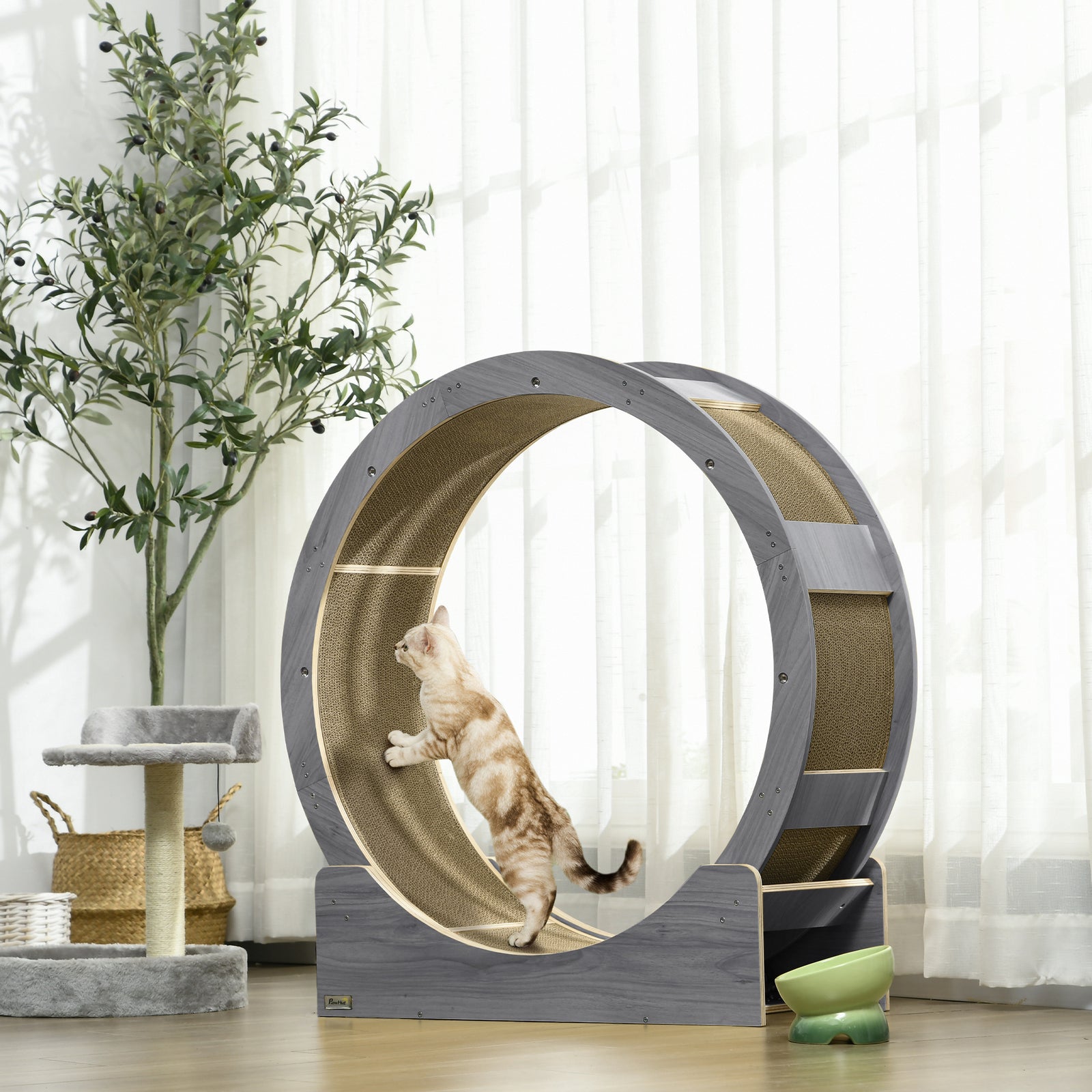 Cat Wheel With Brake, Scratching Pads - Grey | Gray