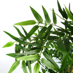 Artificial 150cm Oriental Bamboo Plant