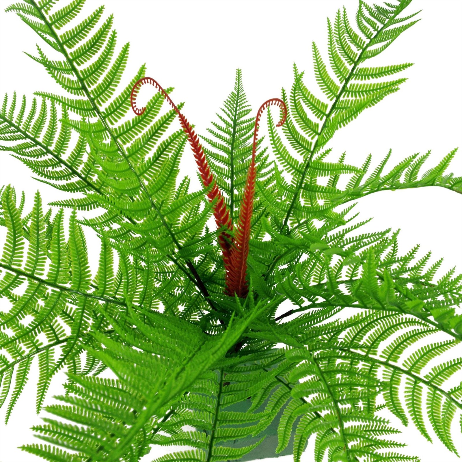 Artificial 60cm Bushy Dixie Wood Fern Dark Green Plant