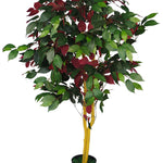 120cm (4ft) Artificial Capensia Tree Ficus Plant - Extra Large