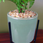 Artificial 40cm Fern Plant With Ceramic Planter Stand