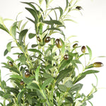 Artificial 160cm Olive Tree 72 Olives