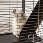 Rolling Small Animal Cage For Chinchillas Ferrets Kittens W/ Ramp | Silver
