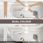 Mounting Reversible Ceiling Fan With Light Pull-chain | One Size | White