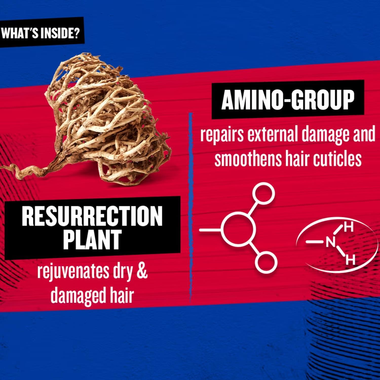 Resurrection Shampoo For Damaged Hair 600ml, 2pk