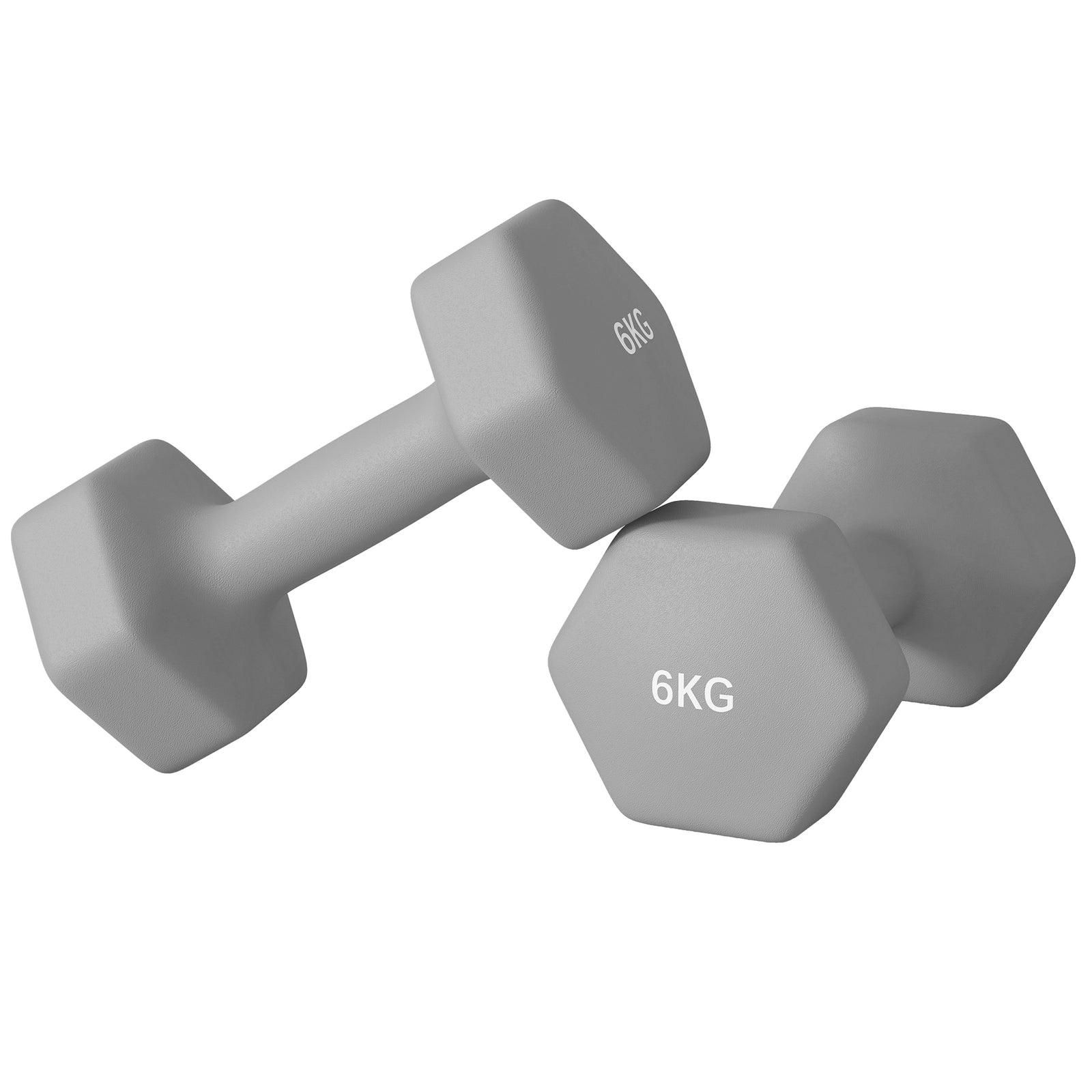 Set Of 2 Hexagonal Dumbbells Weights Pair | Large