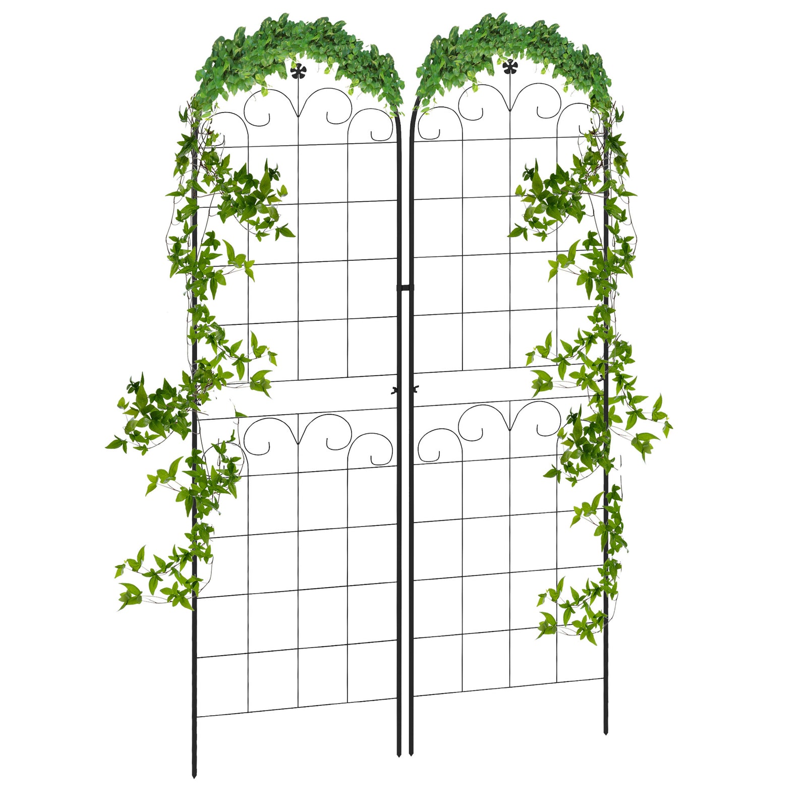 Floral Design 2 Metal Plant Trellis 50 X 180cm