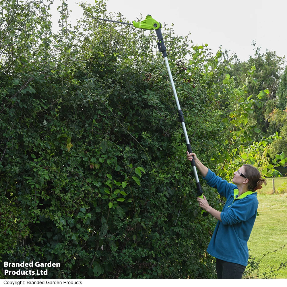 12v Telescopic Hedge Trimmer & Two Batteries