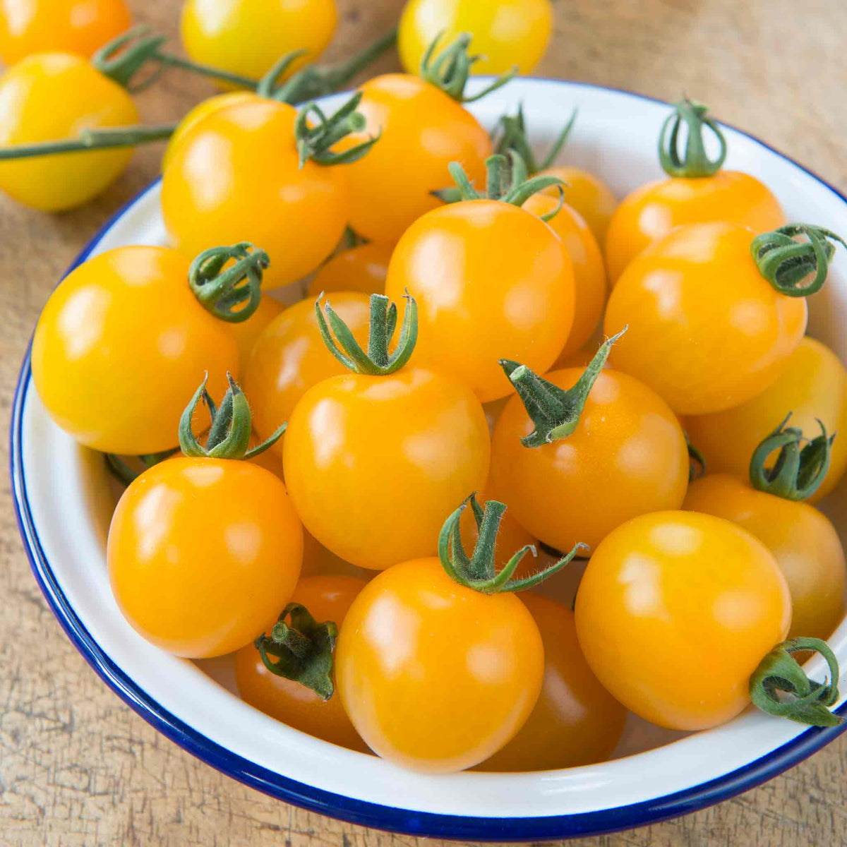 Cordon Tomato 'yellow Mimi' Plant 9cm Plants | Set of 3