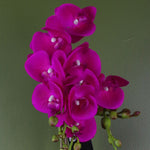 Artificial Orchid Plant Dark Pink Gold Pot 54cm