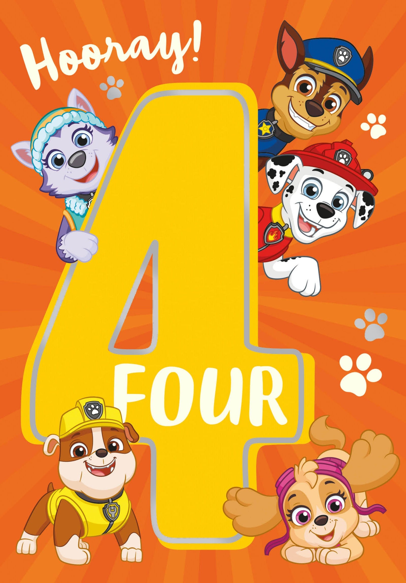 Paw Patrol Age 4 Birthday Card Official Product