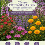 Classic Cottage Garden Border Collection - 2l Garden Ready Pots. | Set-of-6 | Multi