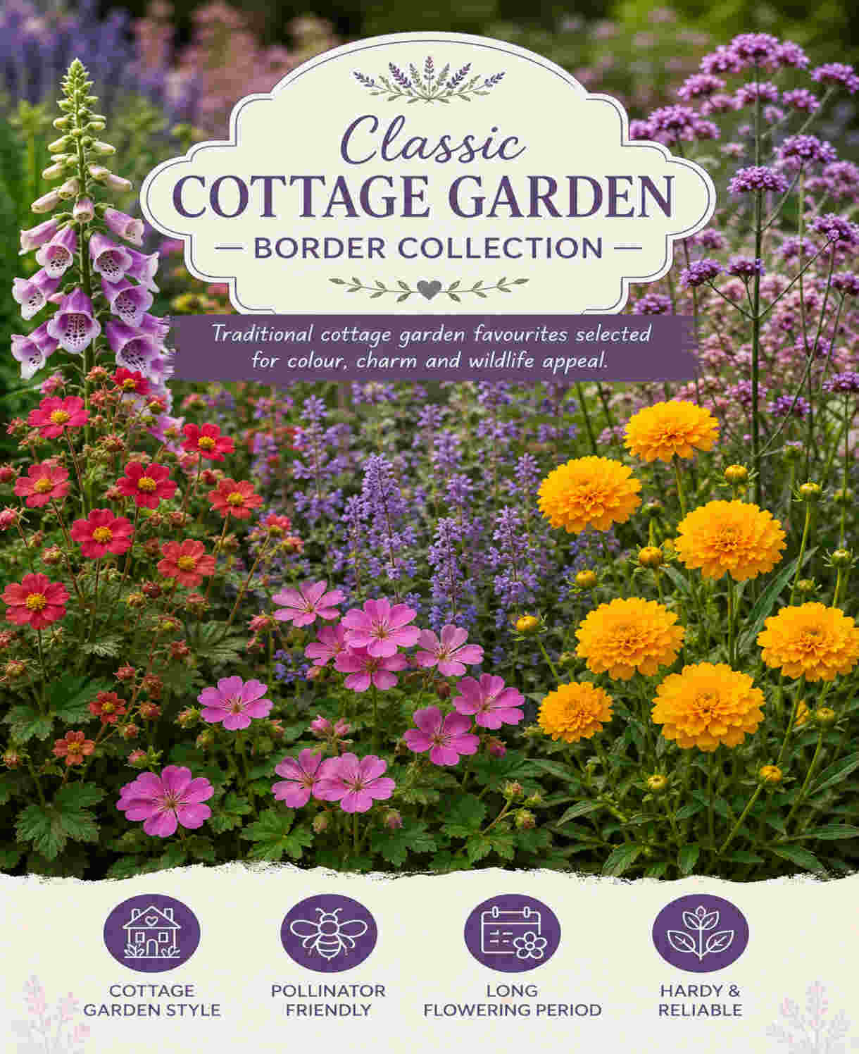 Classic Cottage Garden Border Collection - 2l Garden Ready Pots. | Set-of-6 | Multi