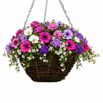The Ready-to-Plant Summer Basket Kit - 1 basket | Blue & Pink