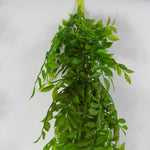 6 X 100cm Artificial Hanging String Of Pearls Fern Plant Dark Green