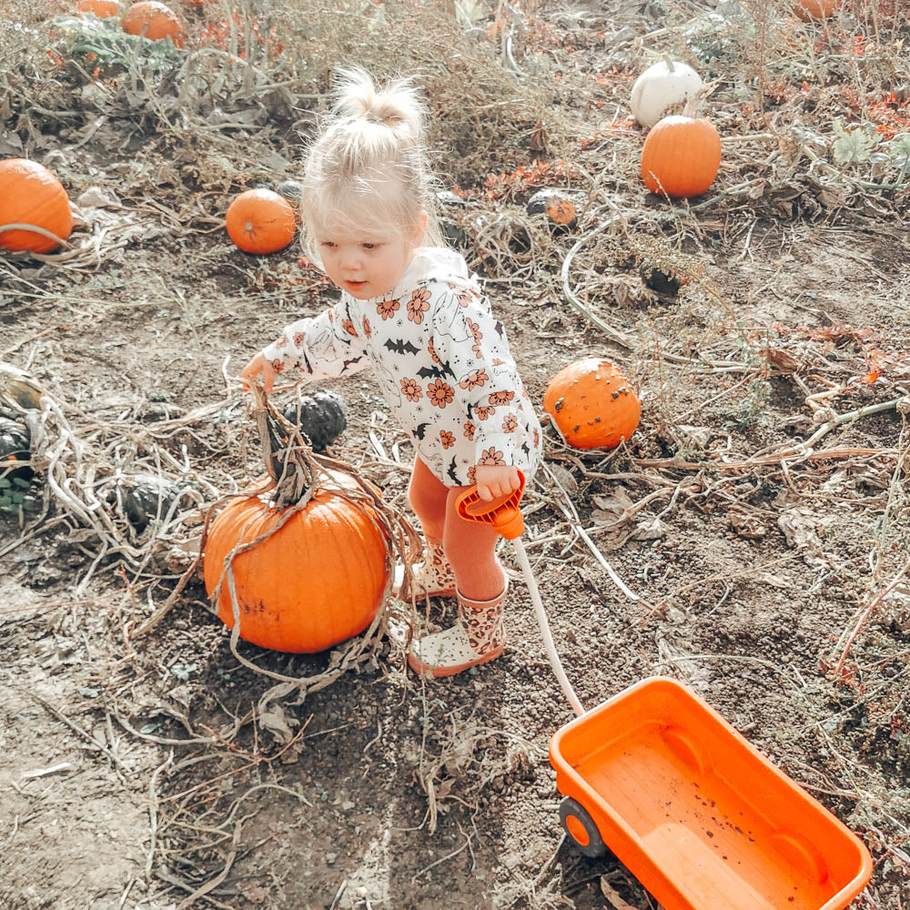 Orange Pull Along Wagon, Made From 100% Recycled Plastic