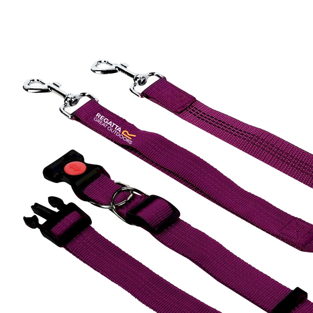 Hands Free Jogging Dog Lead | One Size | Purple